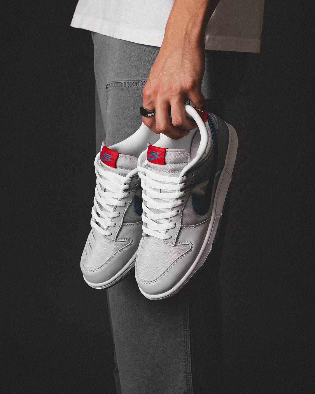 NIKE DUNK LOW QS “Silver Surfer” Men